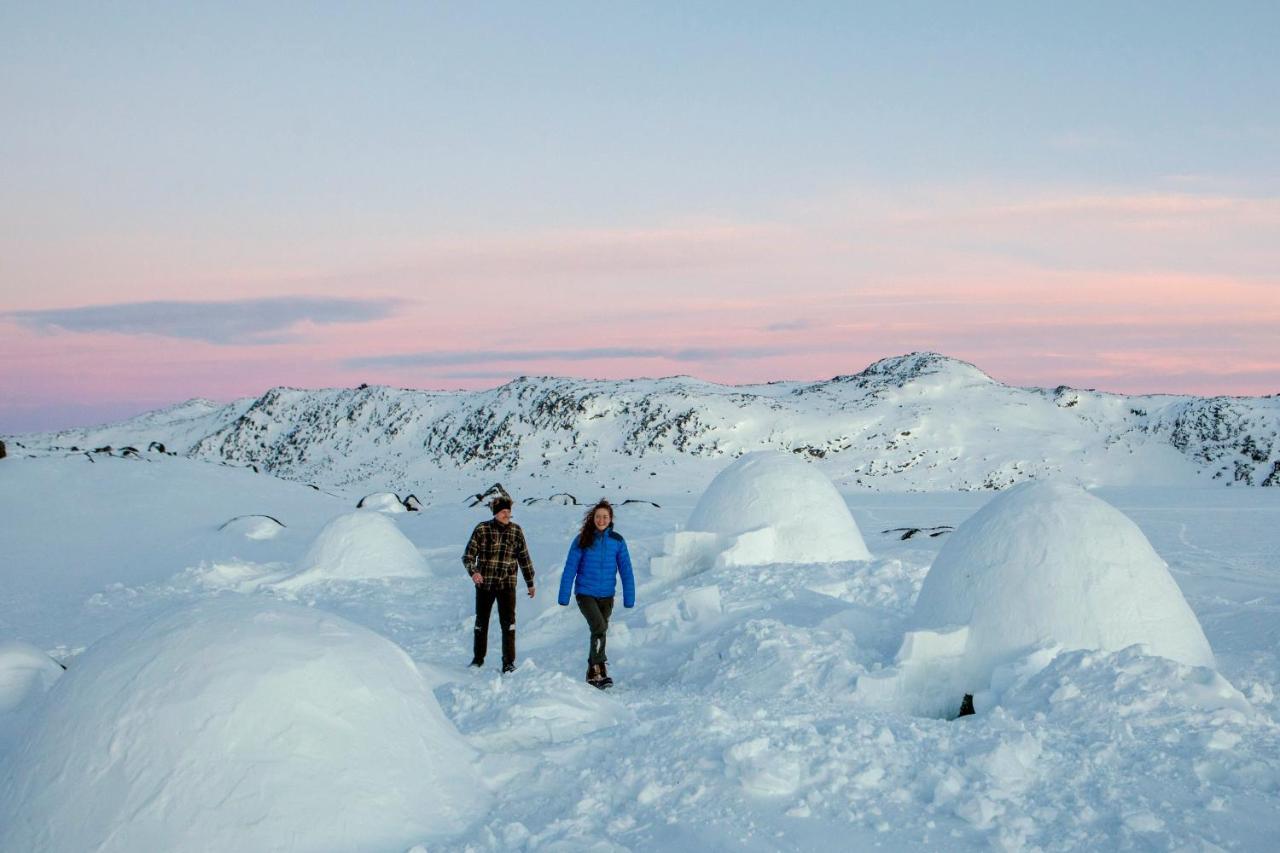 Igloo Lodge Ilulissat Exterior photo